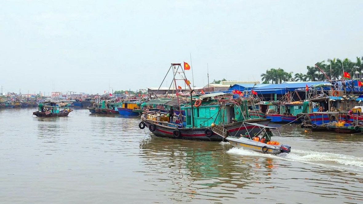 Hải Phòng dừng nhiều hoạt động trên biển để ứng phó bão số 5