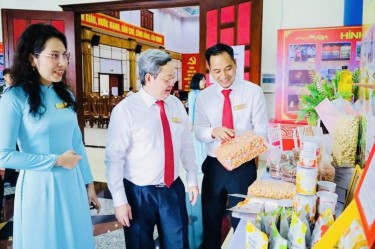 Đồng Nai mở rộng diện tích, nâng tầm thương hiệu điều lên hàng đầu thế giới