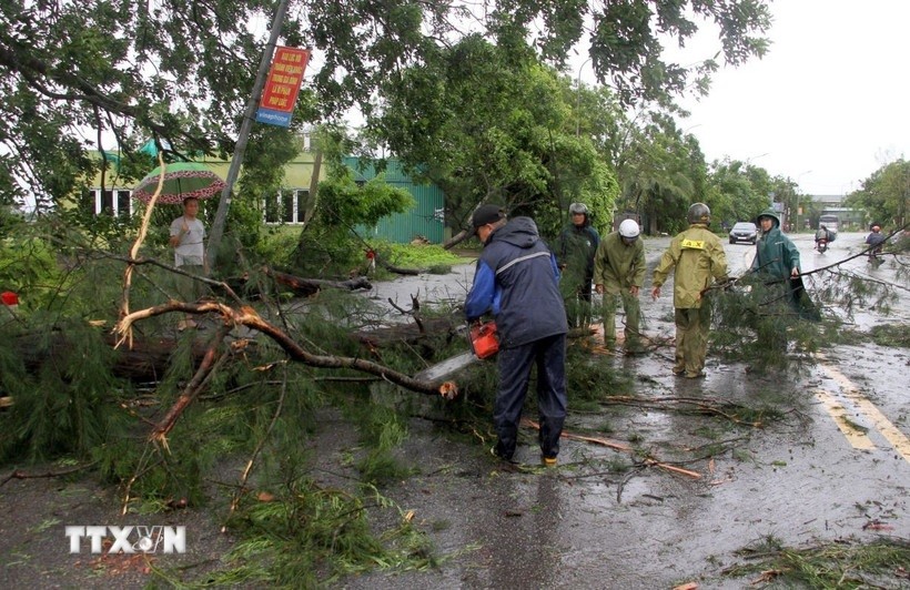 Lực lượng chức năng khẩn trương giải tỏa cây cối bị gãy đổ trên Quốc lộ 46. Ảnh: TTXVN