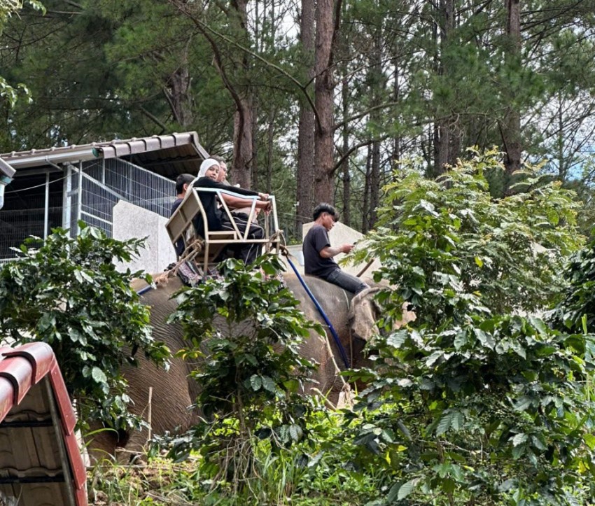 Núi Voi – Điểm đến đặc sắc của du lịch Lâm Đồng