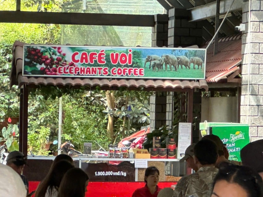 Núi Voi – Điểm đến đặc sắc của du lịch Lâm Đồng