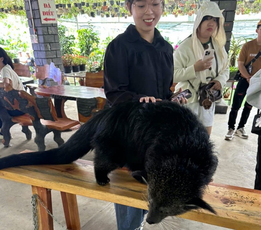 Núi Voi – Điểm đến đặc sắc của du lịch Lâm Đồng