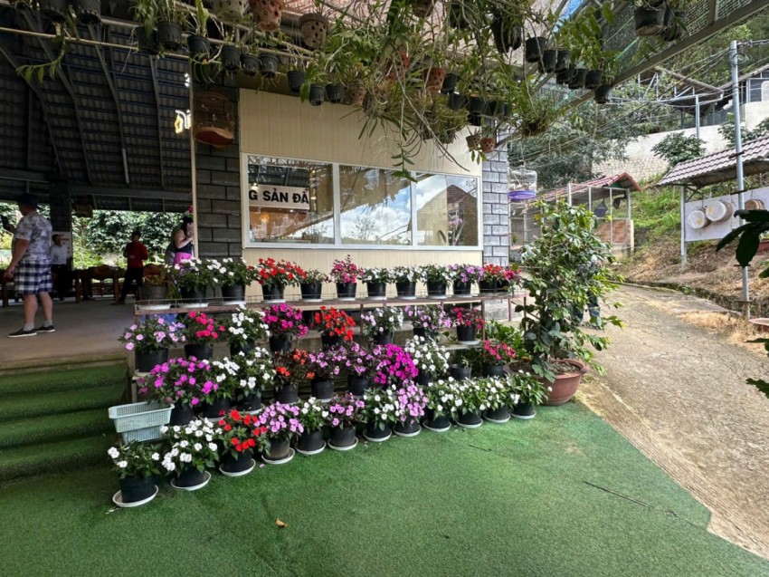 Núi Voi – Điểm đến đặc sắc của du lịch Lâm Đồng