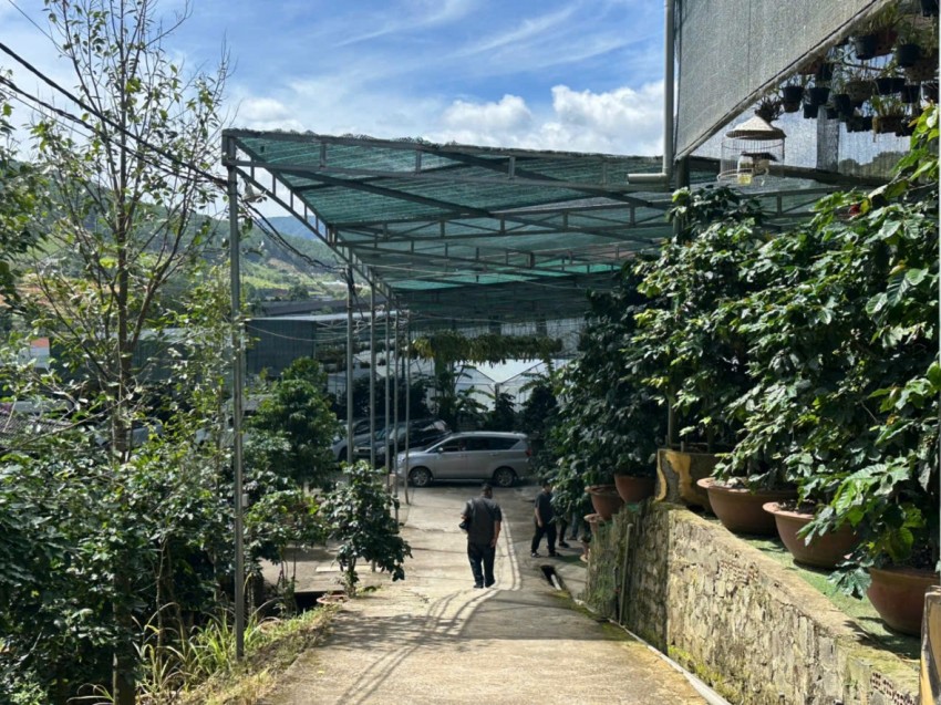 Núi Voi – Điểm đến đặc sắc của du lịch Lâm Đồng