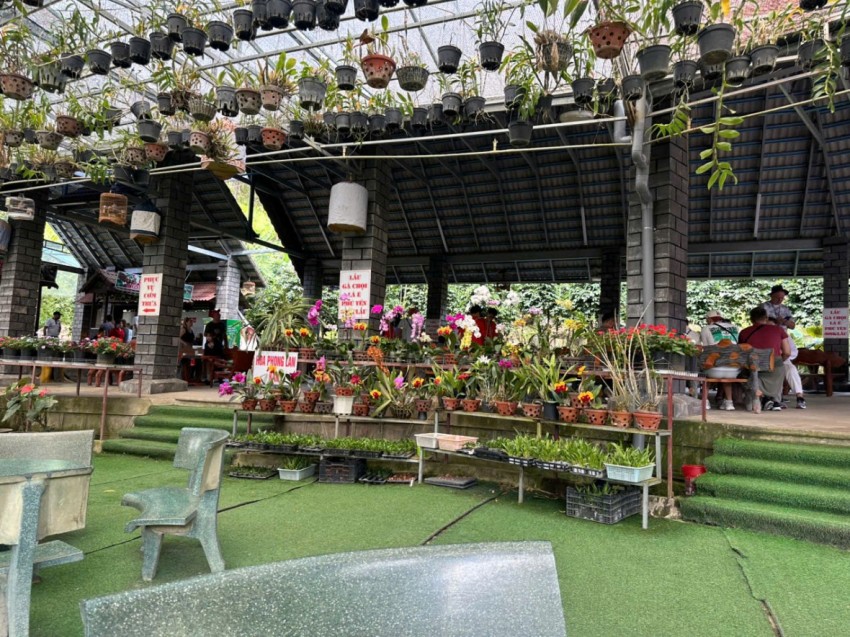 Núi Voi – Điểm đến đặc sắc của du lịch Lâm Đồng