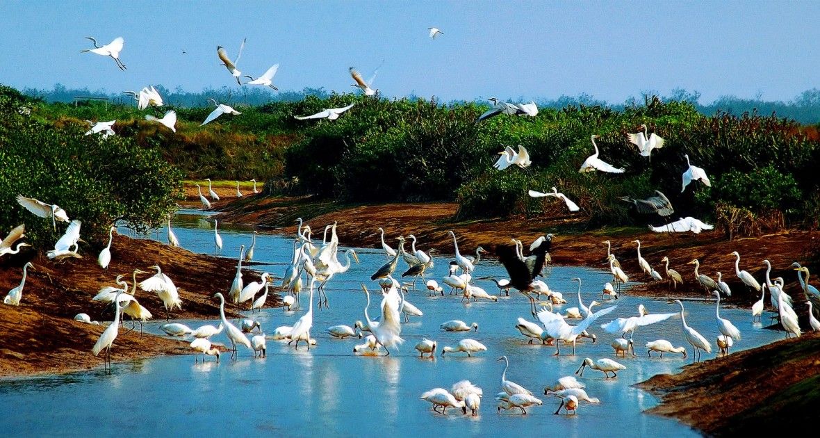 Việt Nam được công nhận 3 Công viên Di sản ASEAN