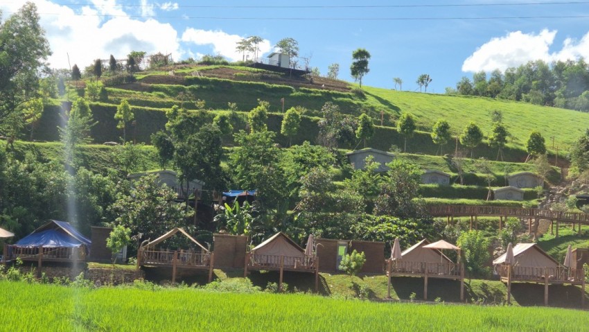 Toàn cảnh rừng sản xuất thuộc khu đất đồi Cha bị xét thịt xây dựng các hạng mục giống với khu homstay.