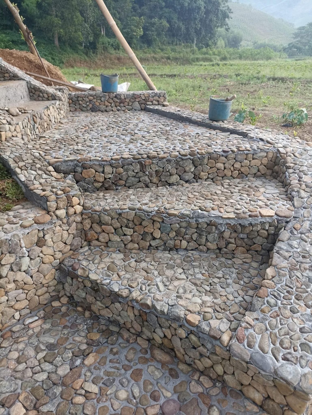 Vụ 1ha đất rừng sản xuất bị hô biến thành khu du lịch ở Phú Thọ: Buộc khôi phục lại tình trạng ban đầu của đất trước khi vi phạm Vụ 1ha đất rừng sản xuất bị hô biến thành khu du lịch ở Phú Thọ: Buộc khôi phục lại tình trạng ban đầu của đất trước khi vi phạm