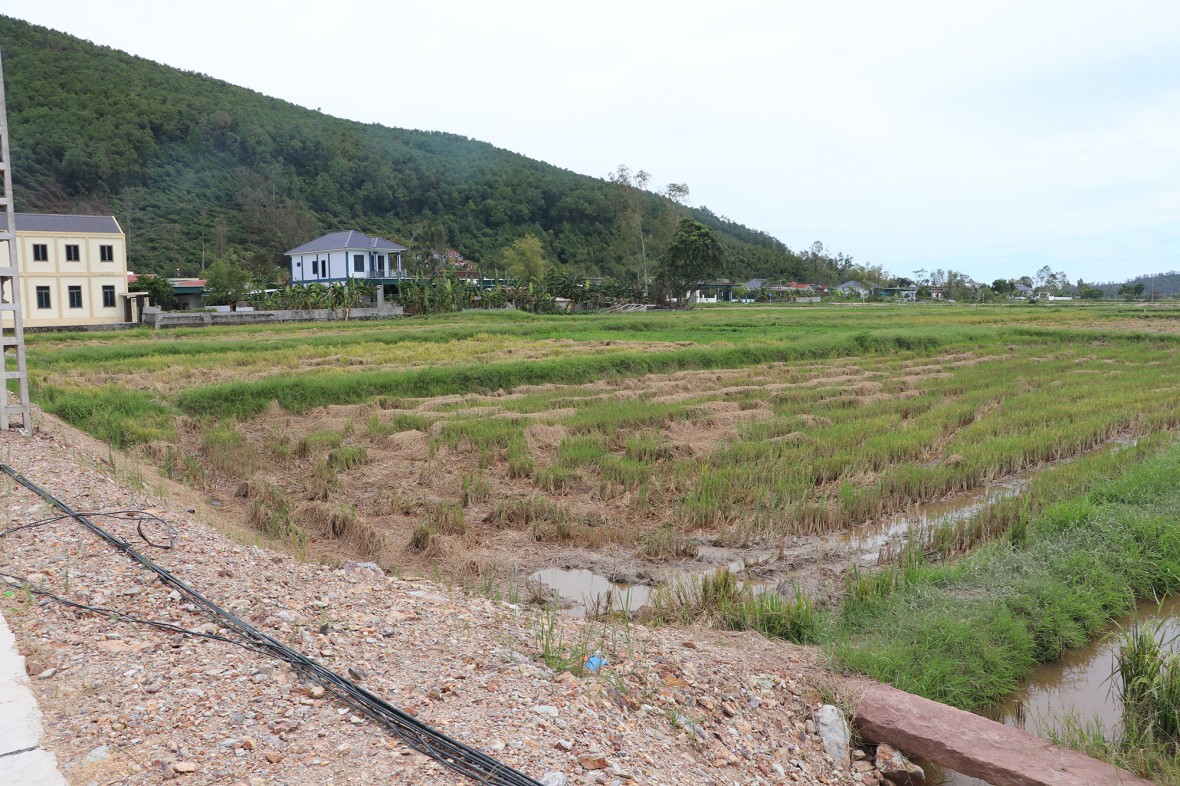 Vị trí tái định cư của xã Tân Châu dự kiến bố trí cho 62 hộ dân bị ảnh hưởng.