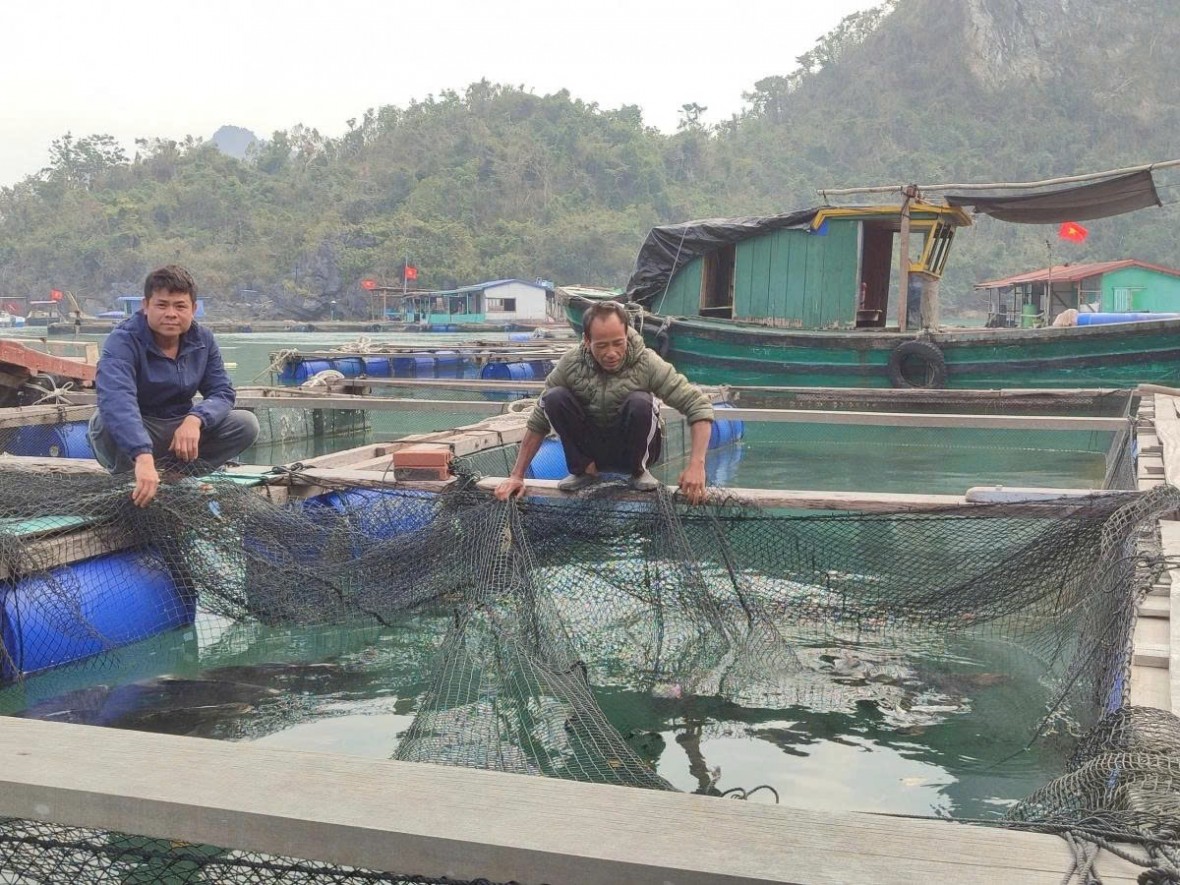 Quảng Ninh tăng tốc 3 trụ cột kinh tế, quyết giữ đà tăng trưởng trên 14% năm 2025