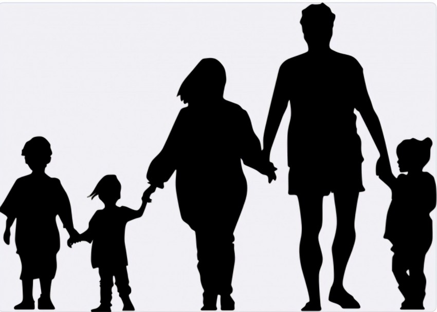 TP.HCM tổng kết 15 năm thi hành Luật Nuôi con nuôi. TP.HCM tổng kết 15 năm thi hành Luật Nuôi con nuôi.