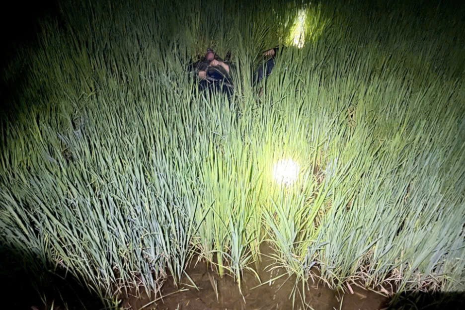 Khởi tố người đàn ông ở Gia Lai đặt bẫy chuột bằng điện khiến 2 người tử vong Khởi tố người đàn ông ở Gia Lai đặt bẫy chuột bằng điện khiến 2 người tử vong