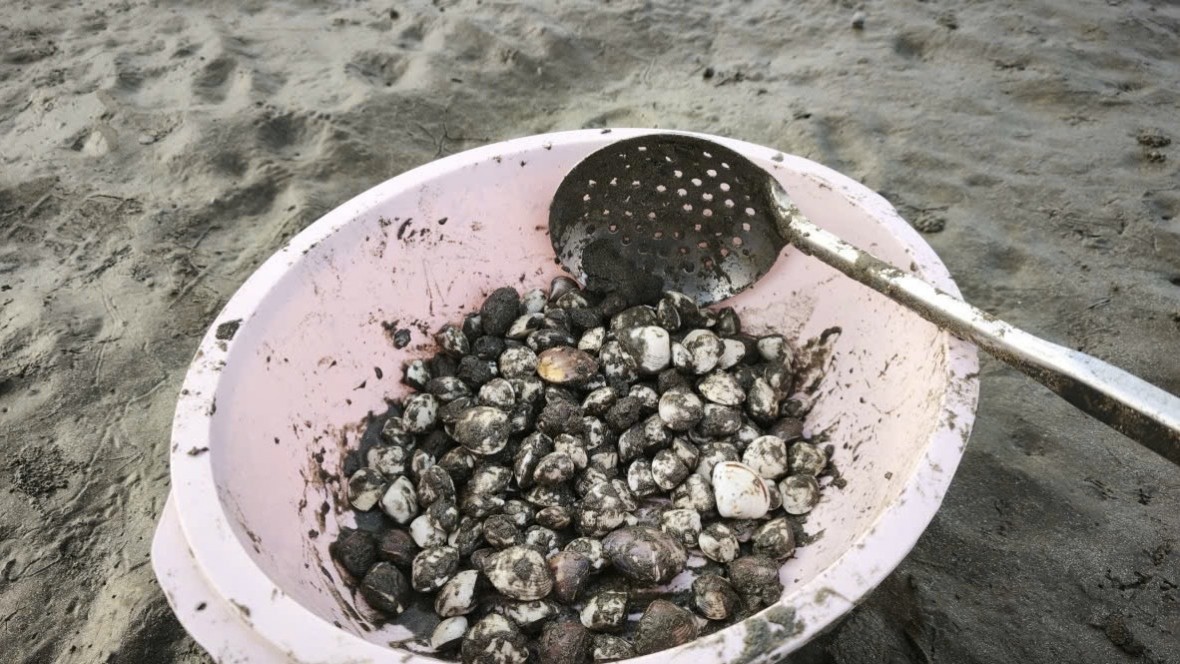 Những “ngư dân tí hon” trên biển Nghi Sơn lúc bình minh