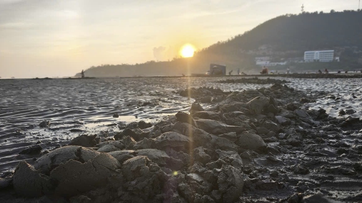 Những “ngư dân tí hon” trên biển Nghi Sơn lúc bình minh