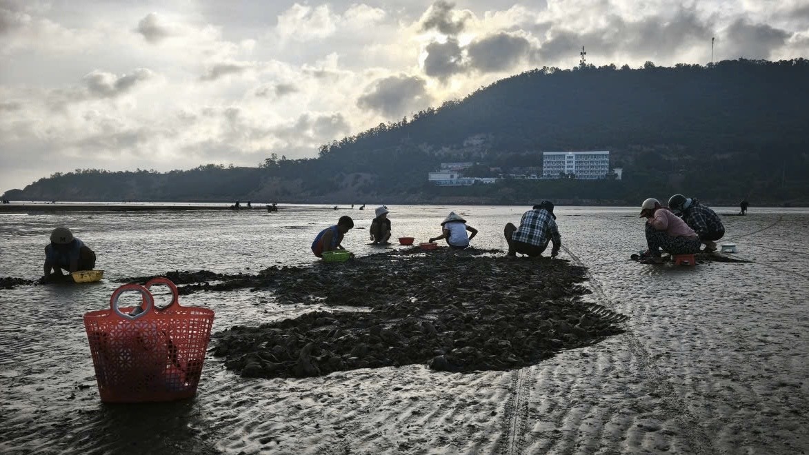 Những “ngư dân tí hon” trên biển Nghi Sơn lúc bình minh