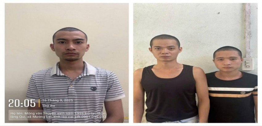 Bắt giữ 3 đối tượng livestream lừa đảo bán đá “đổ thạch” Bắt giữ 3 đối tượng livestream lừa đảo bán đá “đổ thạch”