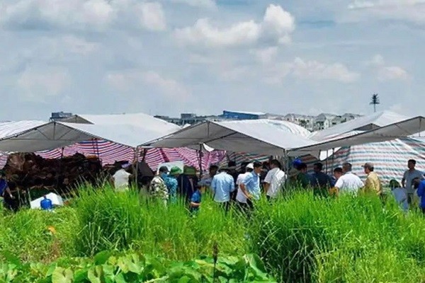 Công an tỉnh Hưng Yên khởi tố đối tượng xâm phạm mồ mả 3 ngôi mộ