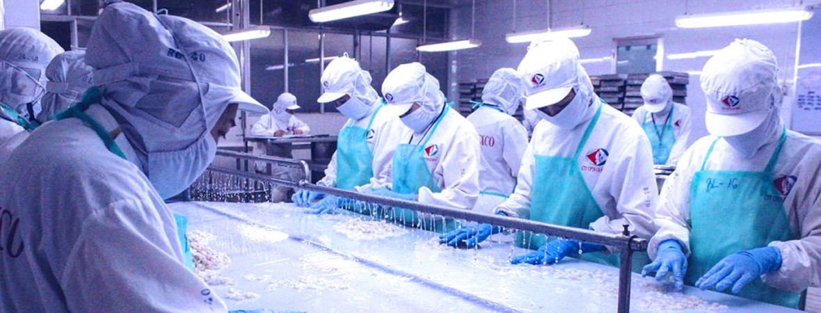 Cà Mau đặt mục tiêu đến năm 2030 có 20.000 doanh nghiệp Cà Mau đặt mục tiêu đến năm 2030 có 20.000 doanh nghiệp