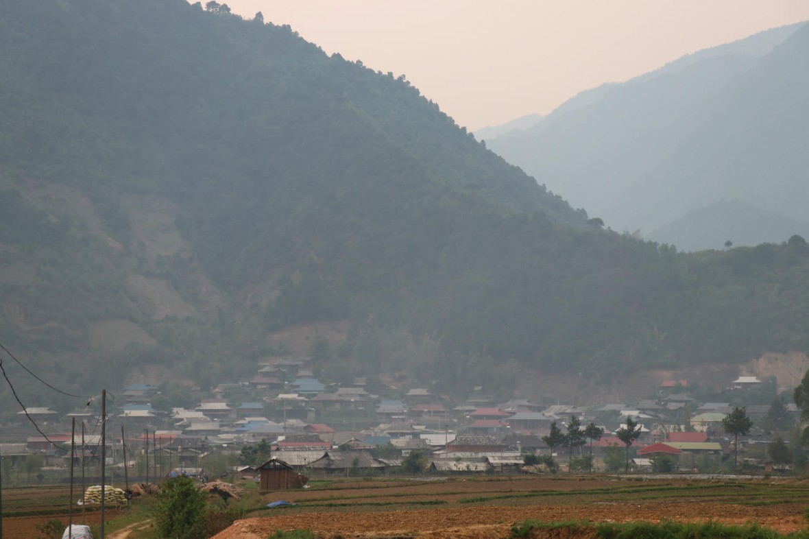 Khát vọng đưa quả táo mèo Nậm Nghẹp thành “mỏ vàng” cho vùng đất Ngọc Chiến