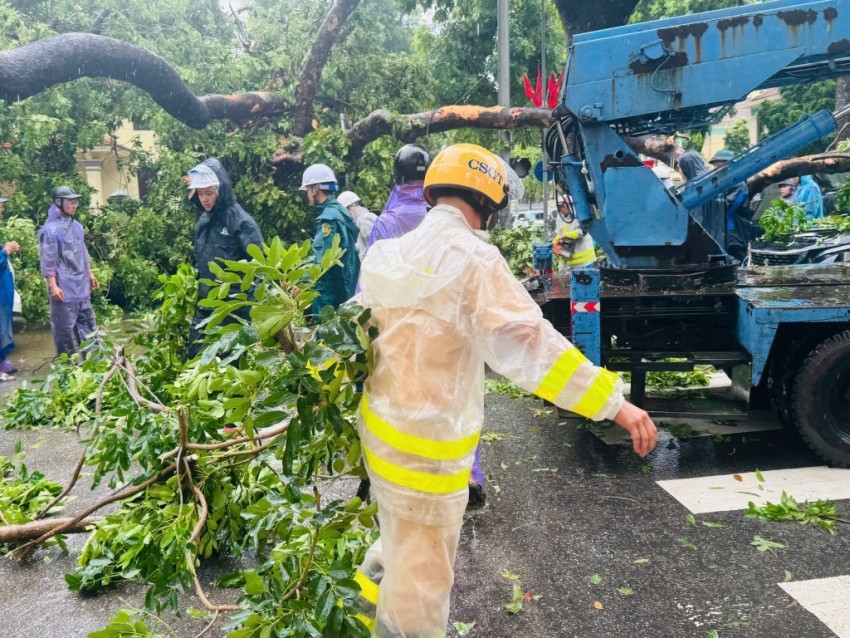 Cây xanh đổ trên đường. Ảnh: Minh hoạ