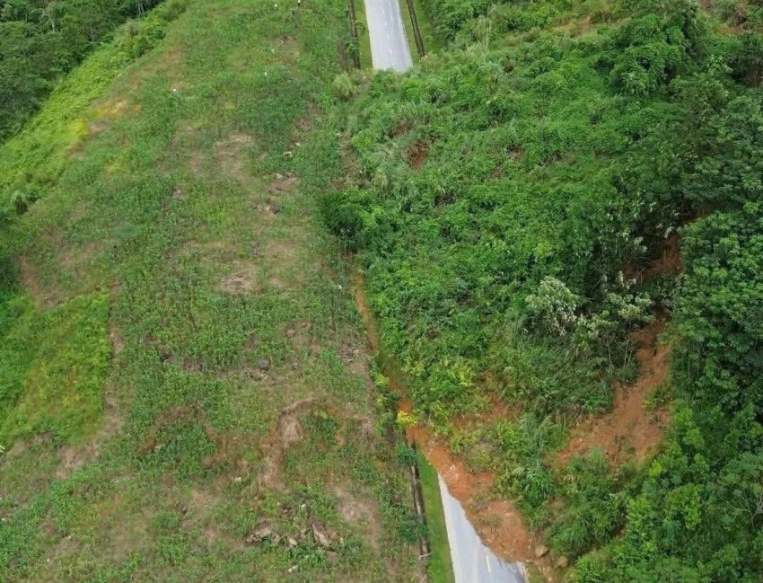 Sạt lở chia cắt Tỉnh lộ 162, dựng hàng rào cảnh báo tại Quốc lộ 4D ở Lào Cai Sạt lở chia cắt Tỉnh lộ 162, dựng hàng rào cảnh báo tại Quốc lộ 4D ở Lào Cai