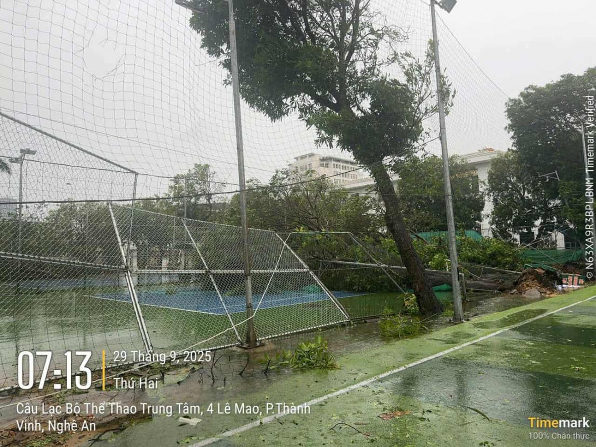 Cây xanh gãy, đổ la liệt.