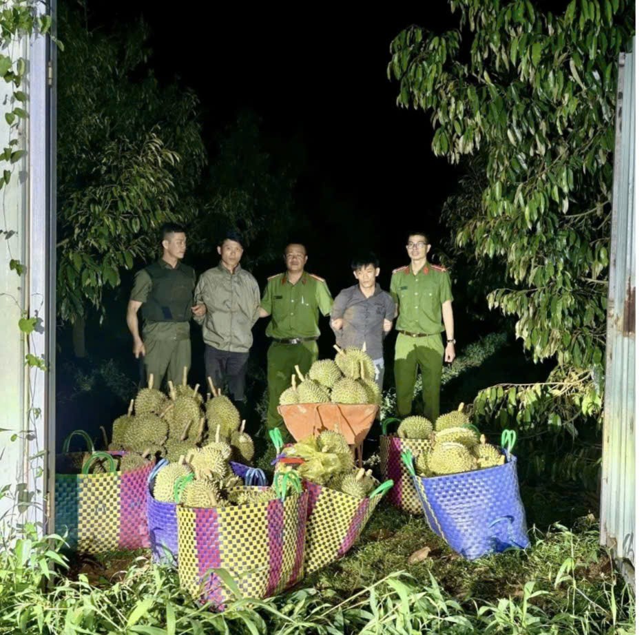 Bắt quả tang hai đối tượng dùng ô tô 7 chỗ đi trộm cắp sầu riêng ở Đắk Lắk