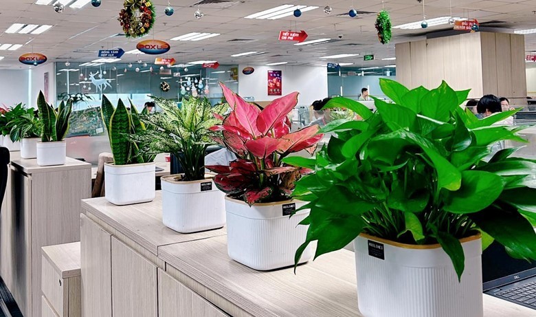 Xu hướng văn phòng xanh - Lợi thế tạo trải nghiệm đặc biệt cho khách thuê