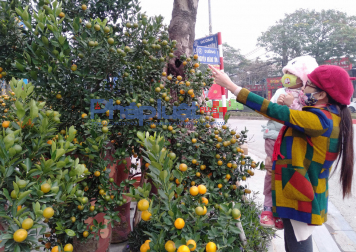 Bộ Nội vụ đề xuất phương án nghỉ Tết Nguyên đán Bính Ngọ