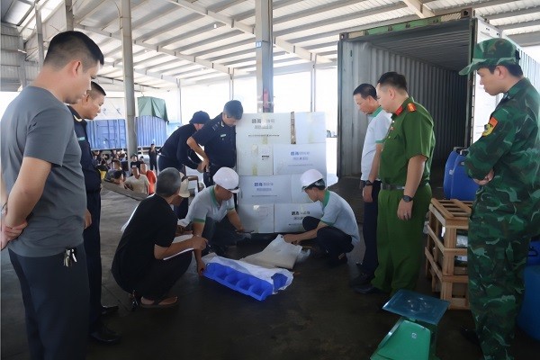 Triệt phá đường dây buôn lậu ở vùng biên Móng Cái Triệt phá đường dây buôn lậu ở vùng biên Móng Cái