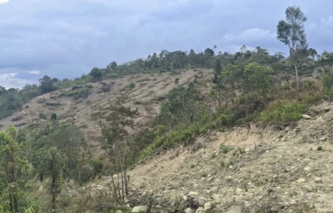 Xử lý 4 người ở Đắk Lắk dùng máy xúc cào xới, lấn chiếm đất lâm nghiệp