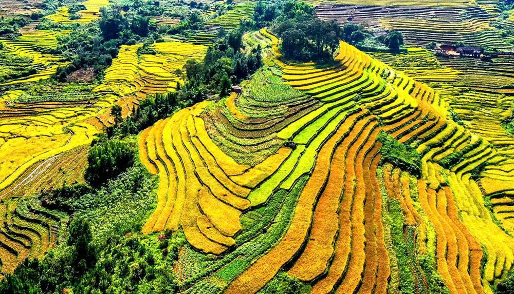 Quảng Ninh: Sắp khai hội Mùa vàng 2025 tại Lục Hồn, mở màn chuỗi hoạt động du lịch mùa Thu - Đông hấp dẫn