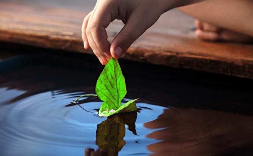 Sống bình yên giữa cuộc đời