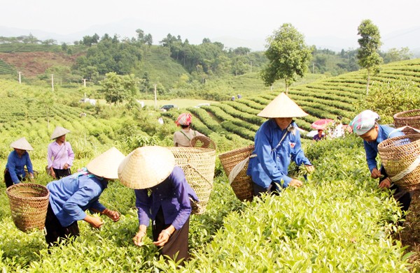 Luật Việc làm năm 2025 mở rộng hơn về đối tượng tham gia bảo hiểm thất nghiệp, gia tăng mức hưởng trợ cấp thất nghiệp, rút ngắn thời gian giải quyết trợ cấp thất nghiệp và linh hoạt hơn trong quy định về chế độ hỗ trợ người sử dụng lao động.(Ảnh minh họa).