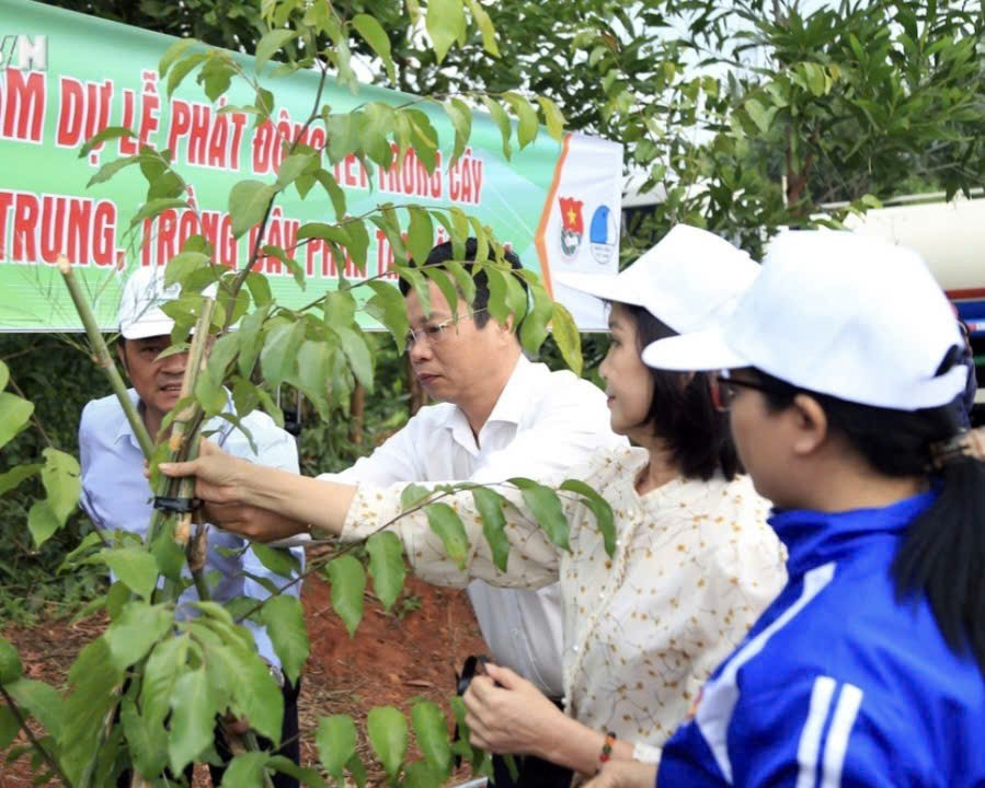 Gia Lai: Ban hành Quy chế hoạt động Ban Chỉ đạo Phát triển lâm nghiệp bền vững Gia Lai: Ban hành Quy chế hoạt động Ban Chỉ đạo Phát triển lâm nghiệp bền vững