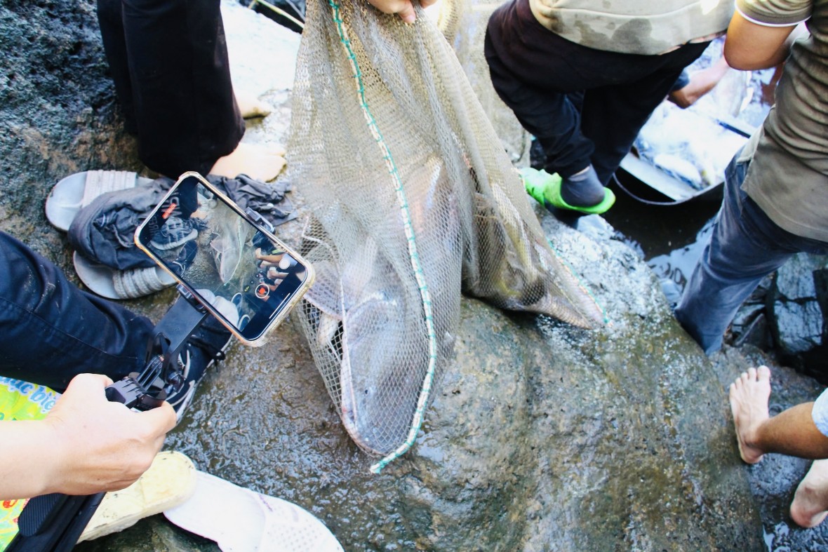 Hàng ngàn người đổ về hồ Trị An dự ‘mùa hội săn cá’ hiếm có trong năm