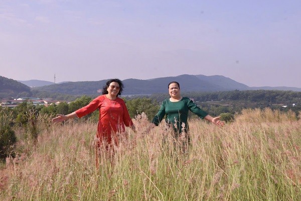 Đồi cỏ hồng khoe sắc dịp cuối thu Đồi cỏ hồng khoe sắc dịp cuối thu