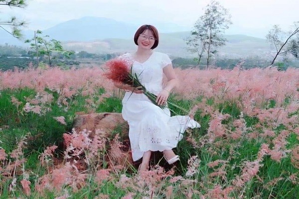 Đồi cỏ hồng khoe sắc dịp cuối thu Đồi cỏ hồng khoe sắc dịp cuối thu