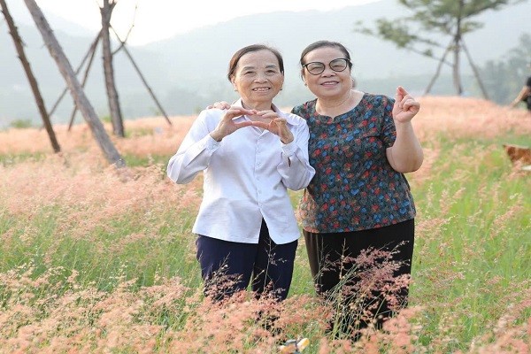 Đồi cỏ hồng khoe sắc dịp cuối thu Đồi cỏ hồng khoe sắc dịp cuối thu