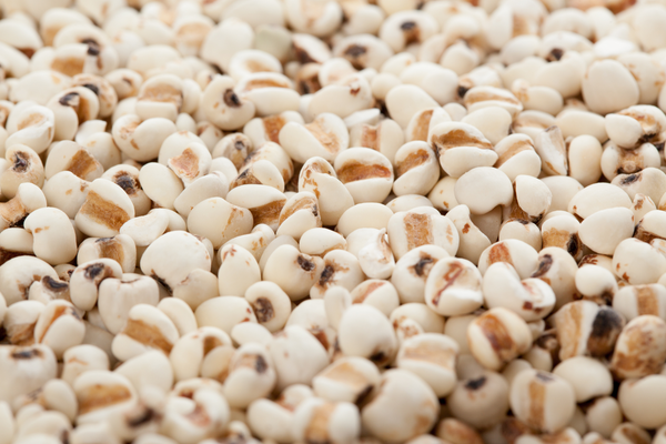 Bộ Y tế thu hồi dược liệu Ý dĩ không đạt tiêu chuẩn chất lượng