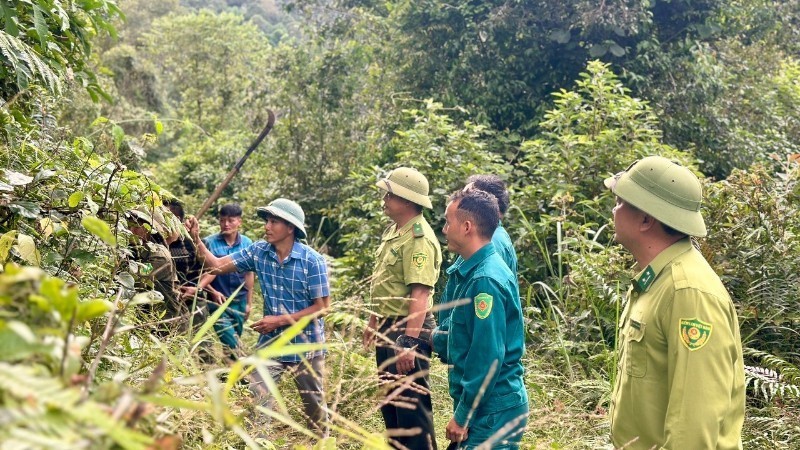 Quỹ Bảo vệ và Phát triển rừng Điện Biên: Công tác bảo vệ rừng, phát triển lâm nghiệp được đẩy mạnh, bền vững và hiệu quả