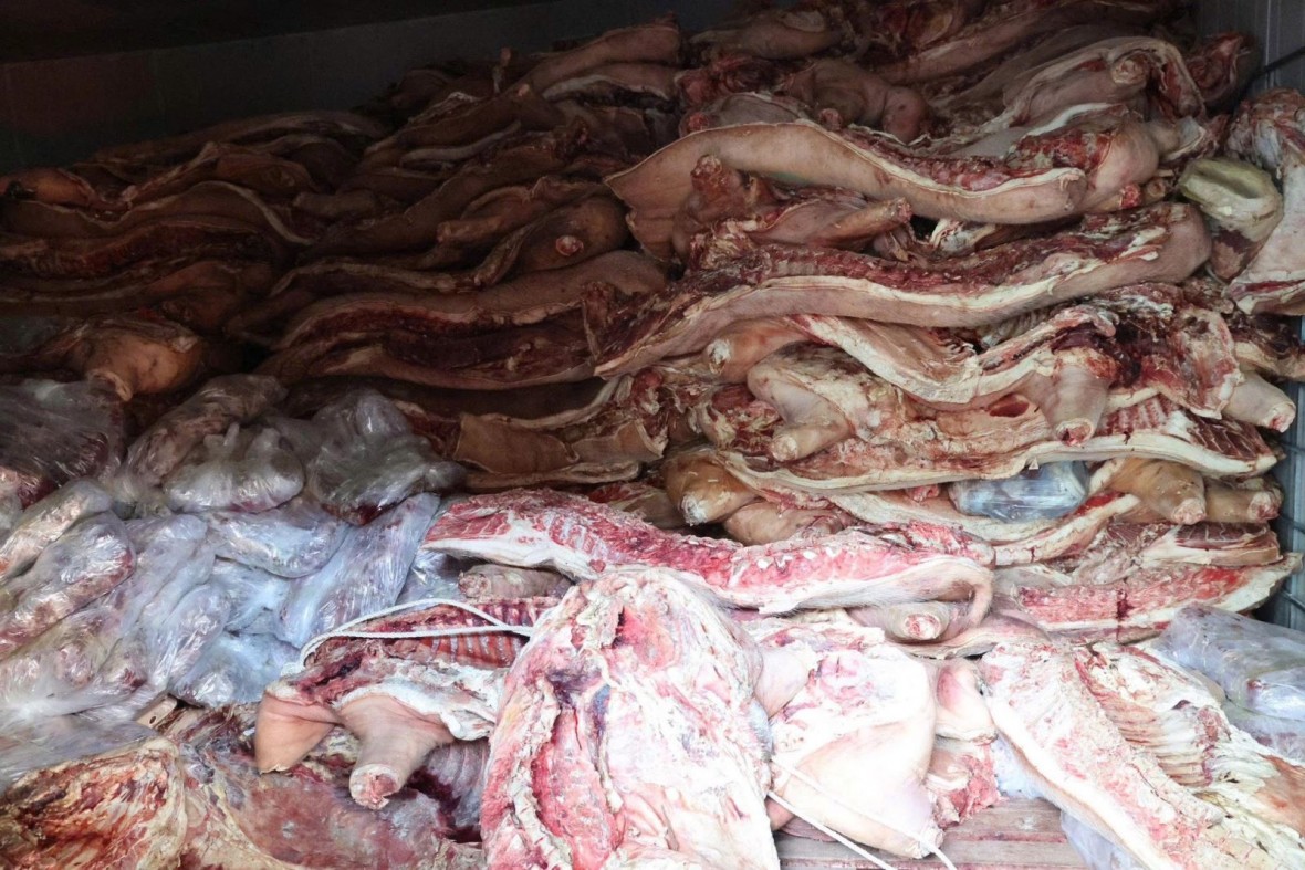 Hàng chục tấn thịt lợn bẩn không đảm bảo vệ sinh an toàn thực phẩm ở lò giết mổ lợn của ông Phan Văn Phòng chuẩn bị được tuồn ra thị trường. (Ảnh: Công an tỉnh Phú Thọ) Hàng chục tấn thịt lợn bẩn không đảm bảo vệ sinh an toàn thực phẩm ở lò giết mổ lợn của ông Phan Văn Phòng chuẩn bị được tuồn ra thị trường. (Ảnh: Công an tỉnh Phú Thọ)