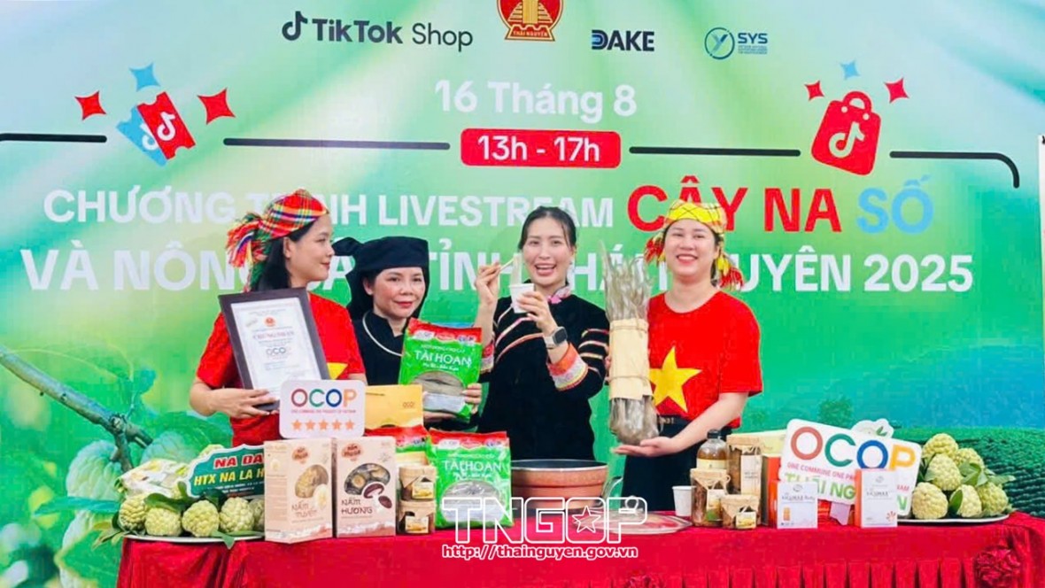 Thái Nguyên nằm trong top 10 địa phương dẫn đầu về Chỉ số Chuyển đổi số cấp tỉnh năm 2024 Thái Nguyên nằm trong top 10 địa phương dẫn đầu về Chỉ số Chuyển đổi số cấp tỉnh năm 2024