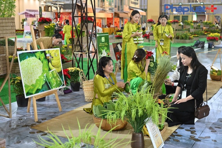 Cận cảnh các gian hàng của các địa phương trưng bày tại Hội chợ Mùa thu lần thứ I