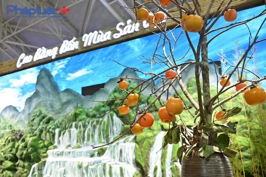 Hội chợ Mùa thu lần thứ nhất: Nơi hội tụ, lan toả hàng hoá thương hiệu Việt