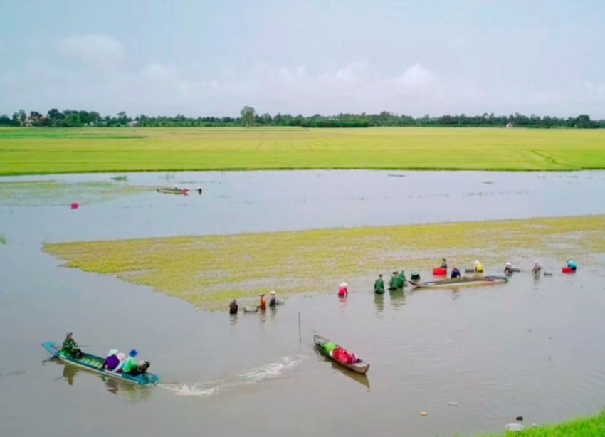 Thắm tình quân dân nơi biên giới Tây Ninh