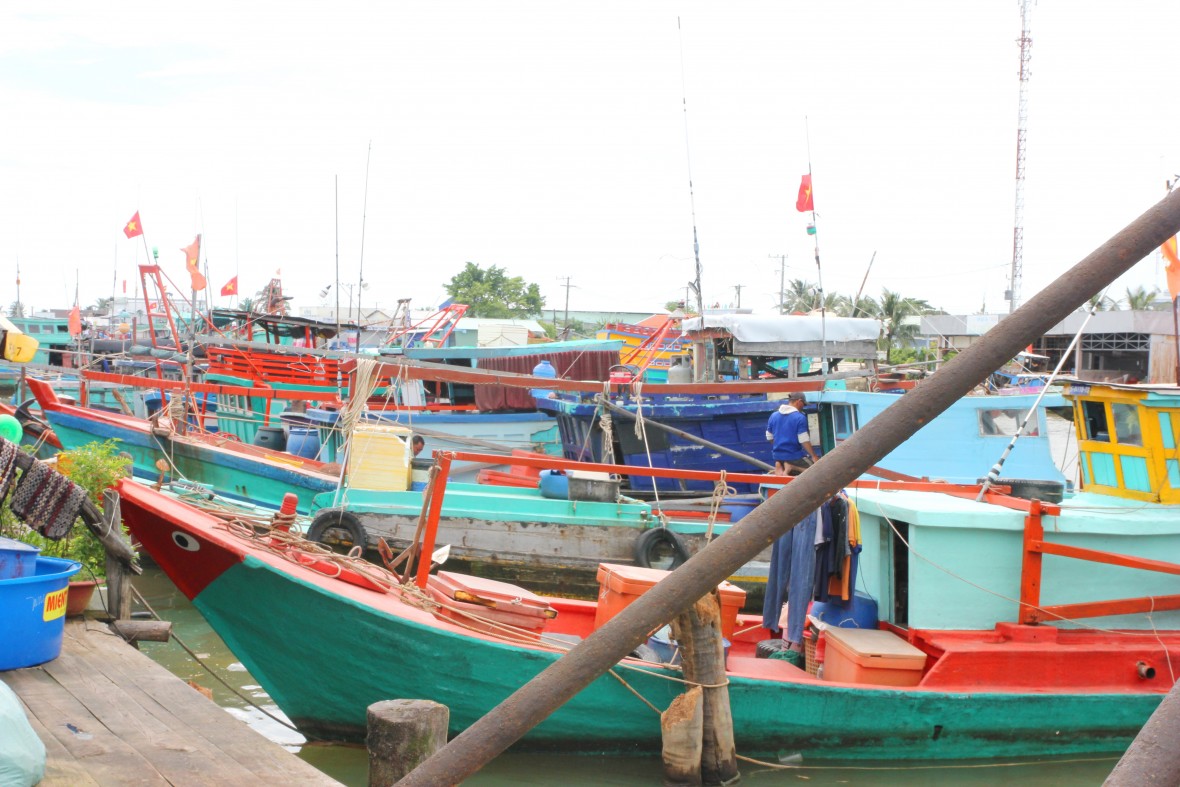 Cà Mau mở đợt cao điểm chống khai thác IUU, hướng tới phát triển nghề cá bền vững Cà Mau mở đợt cao điểm chống khai thác IUU, hướng tới phát triển nghề cá bền vững