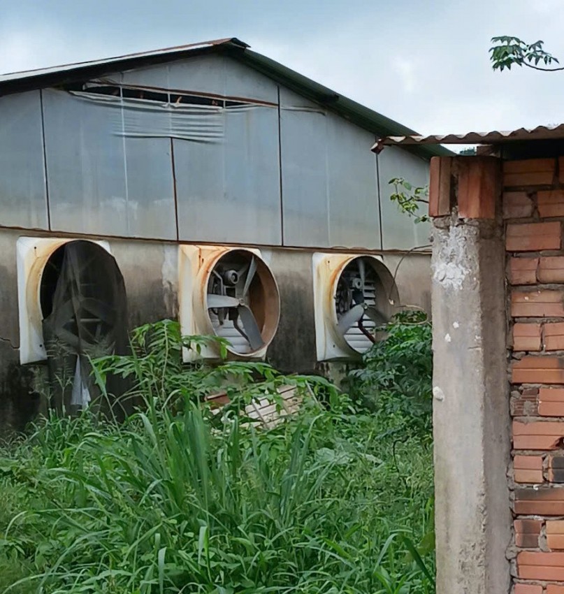 Người dân phải “sống chung” với mùi hôi thối nồng nặc từ các trại chăn nuôi ở Đồng Nai