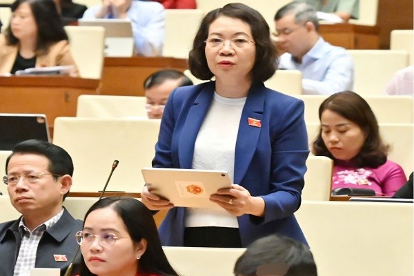 Đại biểu Quốc hội đề nghị cần tái cấu trúc hệ thống pháp luật để đáp ứng yêu cầu phát triển mới