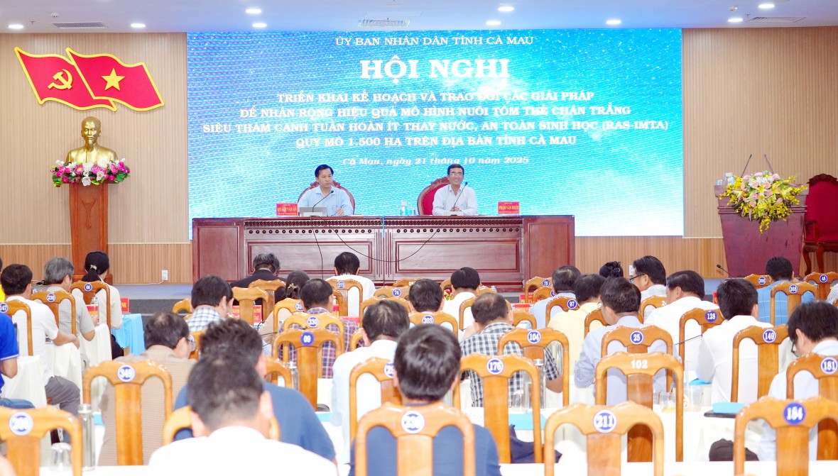 Cà Mau: Nhân rộng mô hình nuôi tôm công nghệ cao RAS-IMTA quy mô 1.500 ha Cà Mau: Nhân rộng mô hình nuôi tôm công nghệ cao RAS-IMTA quy mô 1.500 ha